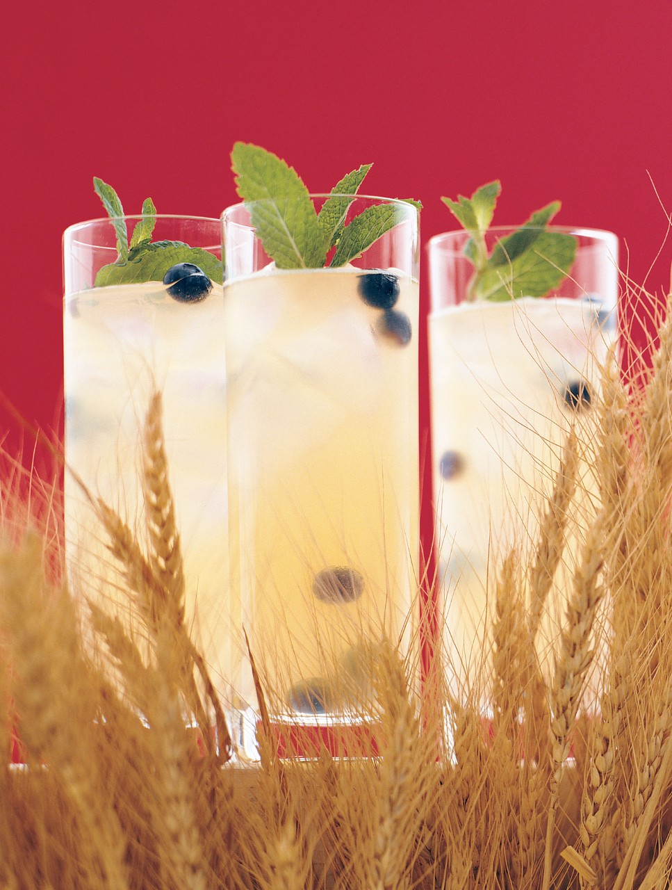 Menthe divine
