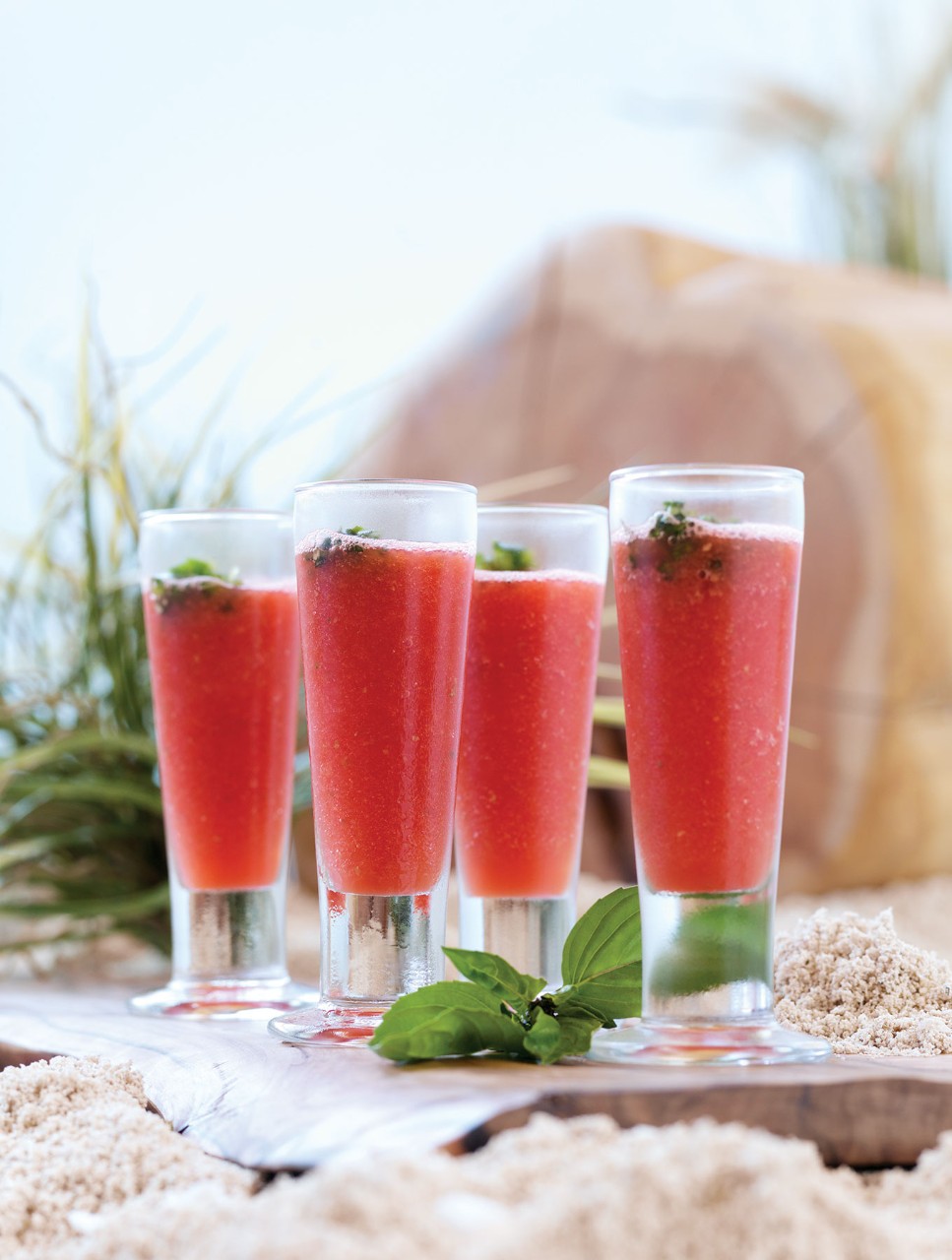 Watermelon Shooters