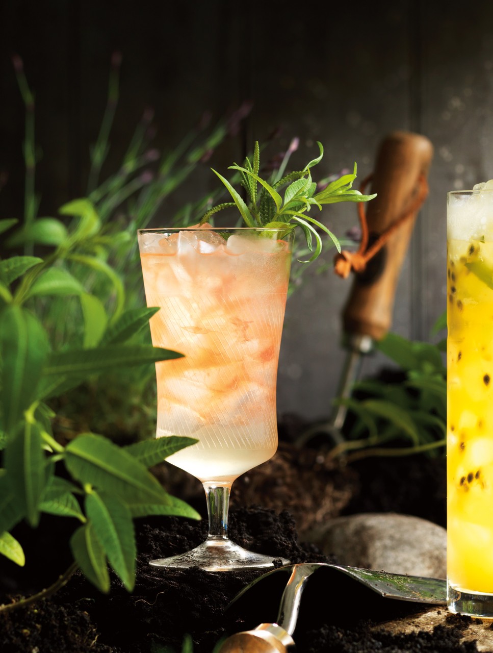 Cantaloupe Mojito