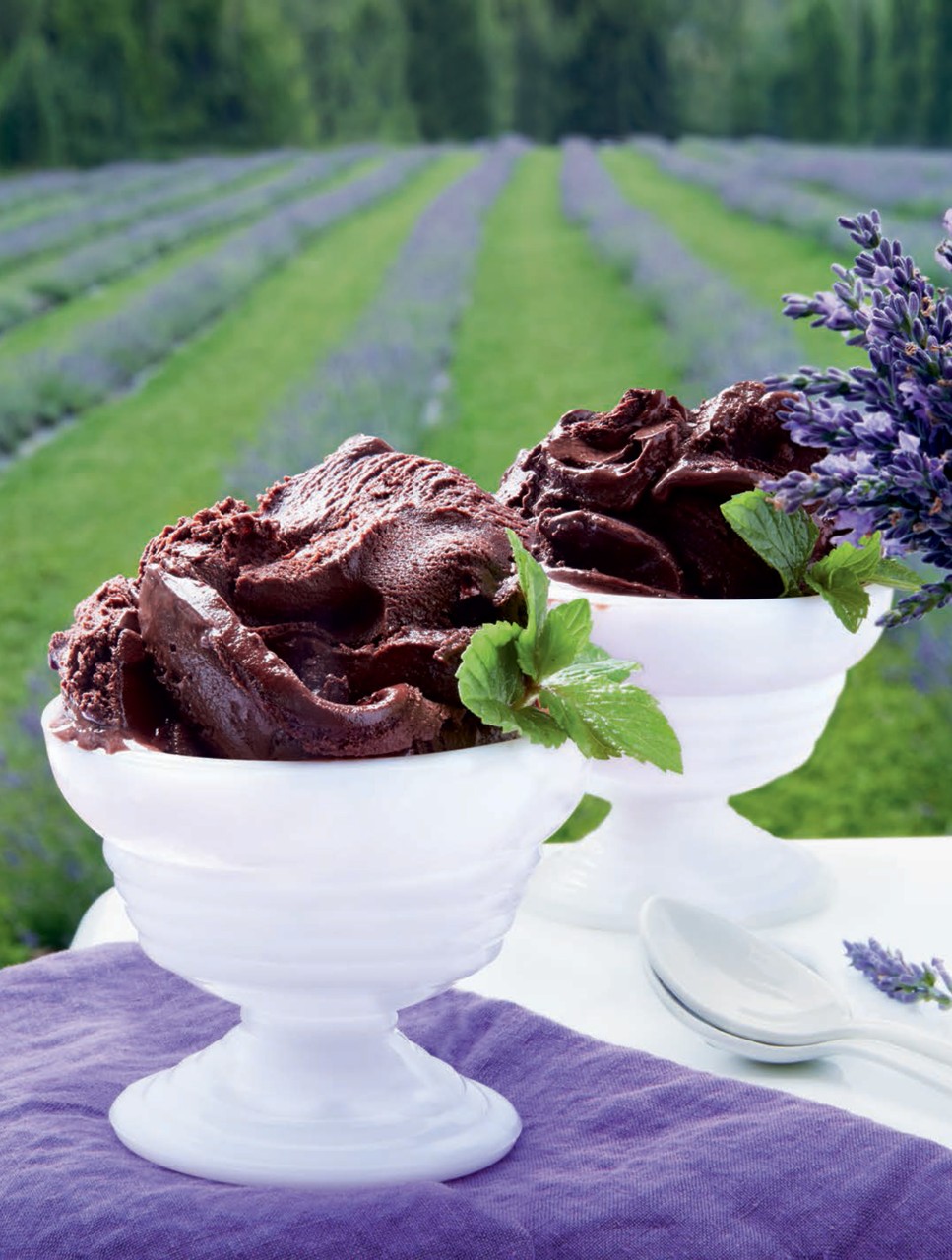 Lavender-Chocolate Sorbet