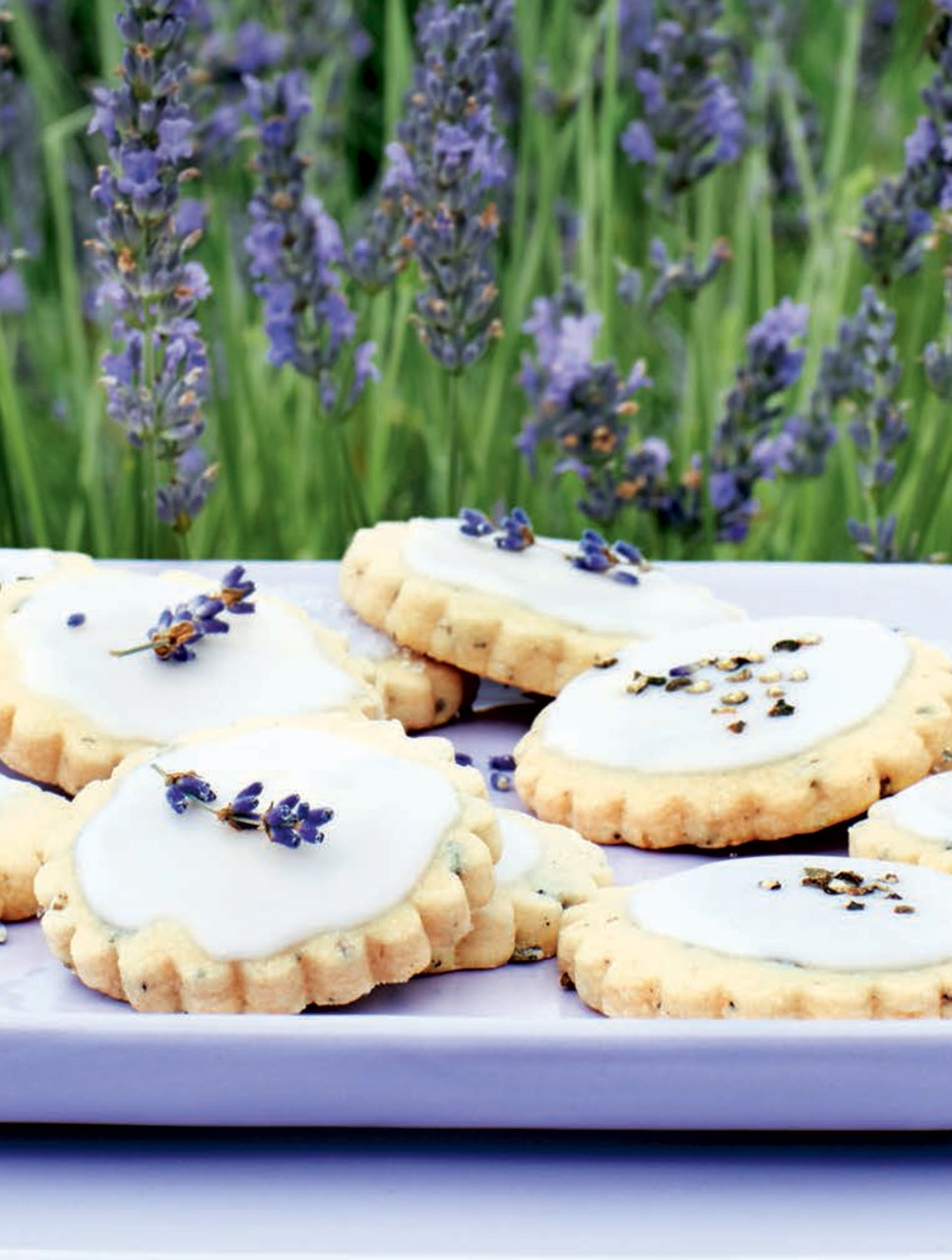 Frosted Lavender-Pepper Shortbread Cookies