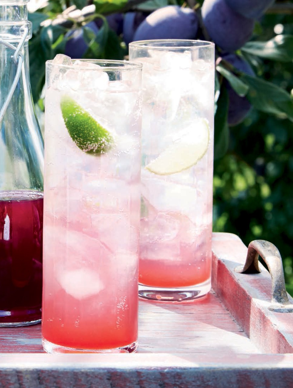 Spicy Plum Ginger Ale