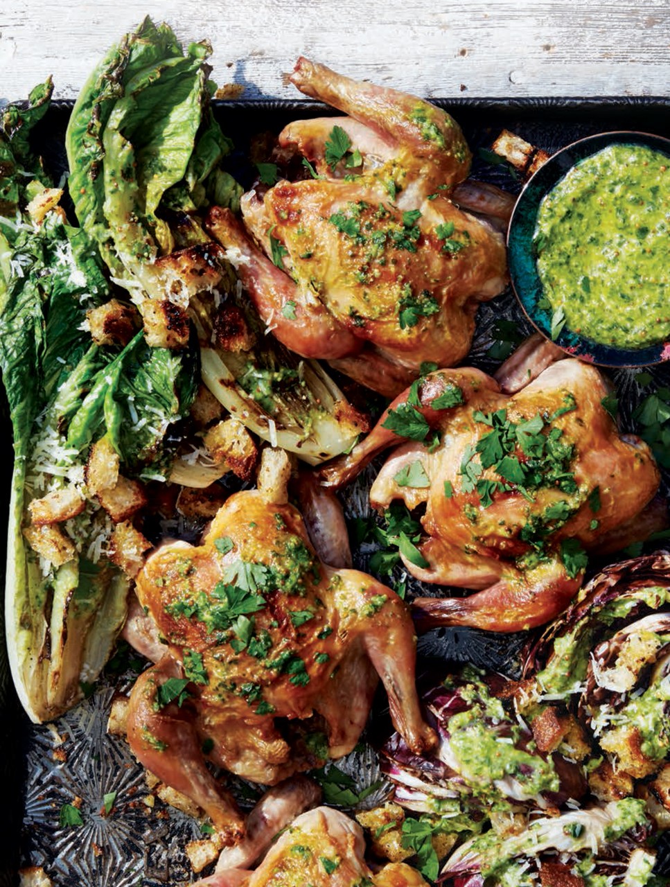 Barbecued Cornish Hen with Grilled Romaine & Radicchio
