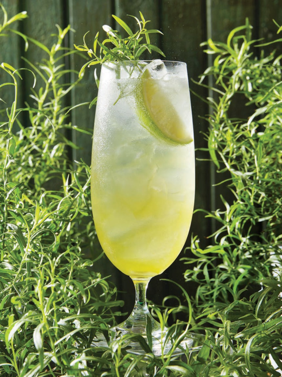 Tarragon Syrup