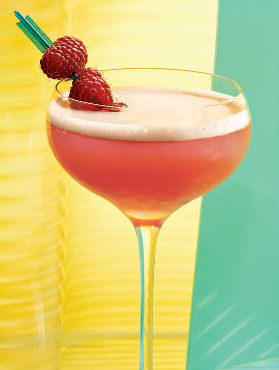 Pink Gintini