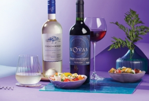 Chilean Wines Offer Amazing Value