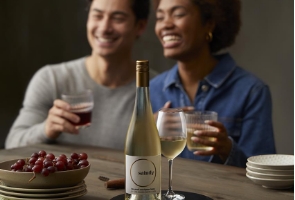 Taste Ontario VQA Wines