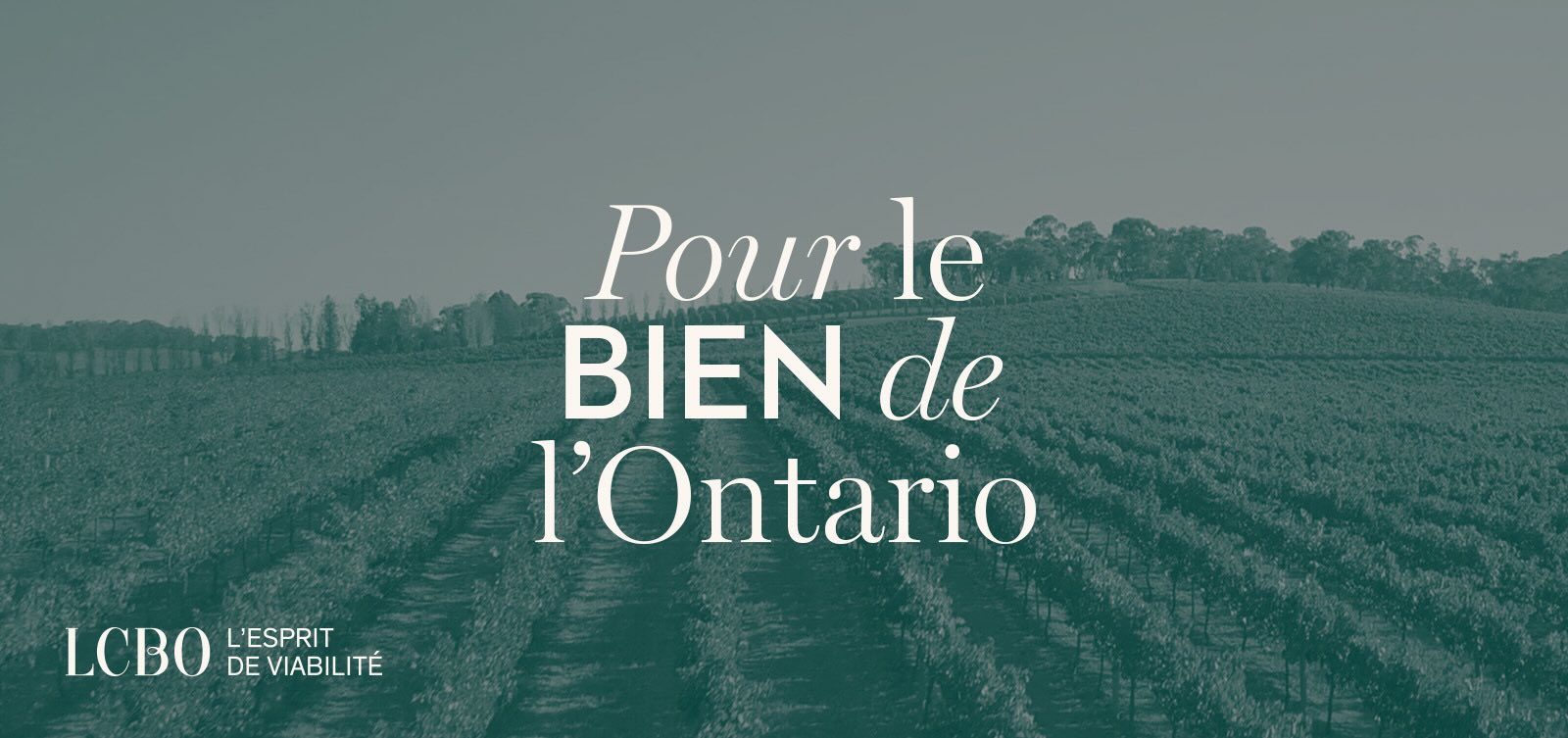 L’esprit de viabilité