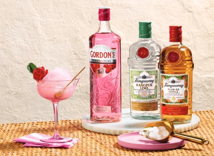 Fresh and Frozen Gin and Tonics