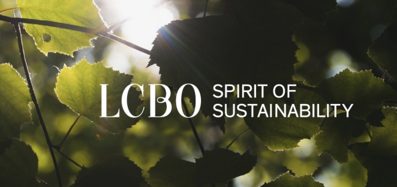 Spirit of Sustainability