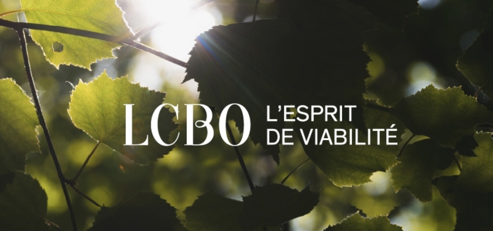 L’esprit de viabilité