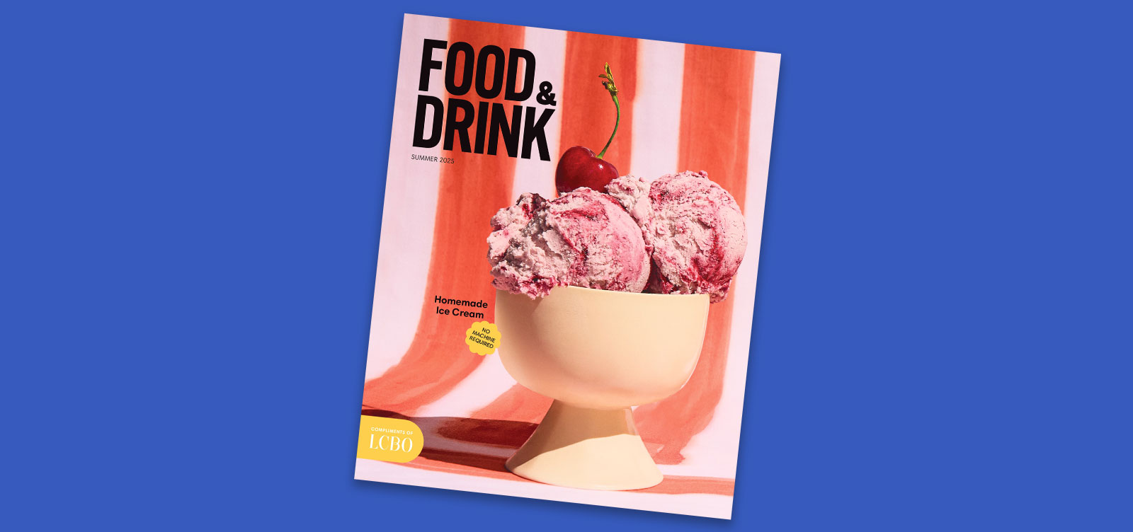 Check Out the Latest Issue!