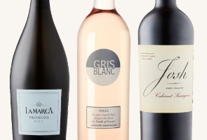 Gifts under $25