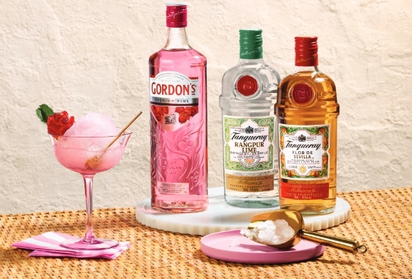 Recettes de Gin Tonic frais ou glacé