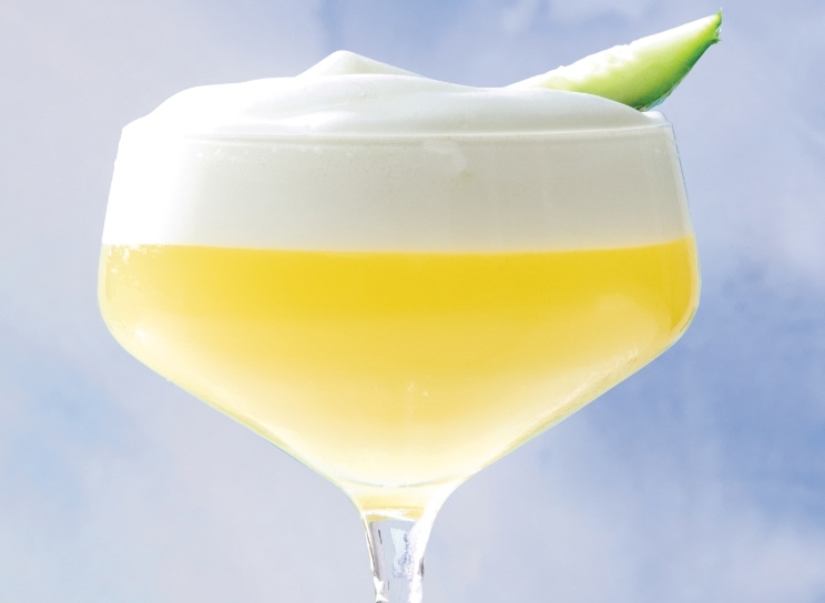 Cocktail coiffé de mousse Gimlet nuage