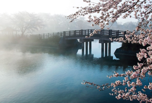 Découvrez les vins d’Asie orientale