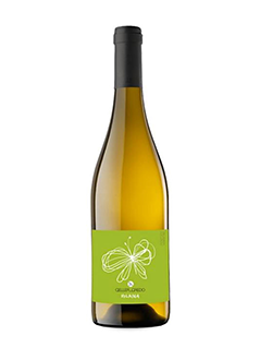 Celler Credo Volaina