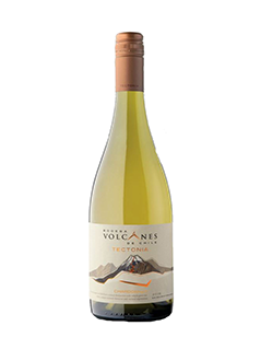 Bodega Volcanes Tectonia Chardonnay Malleco