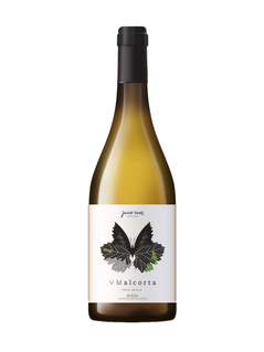 Javier Sanz V Malcorta Verdejo