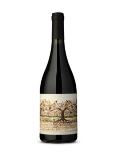 Almacén de la Quebrada Cachí Malbec 2020