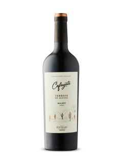 Cafayate Terroir De Altura Malbec