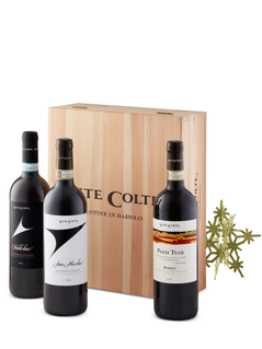 Vite Colte Piedmont Trio