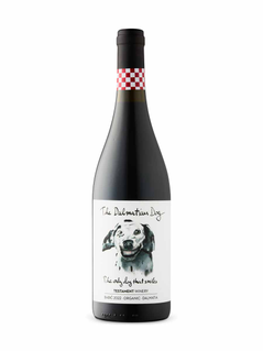 The Dalmatian Dog Babic