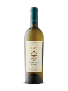 Gran Reserva Sauvignon Blanc Elqui Valley