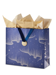Large Seasonal Gift Bag