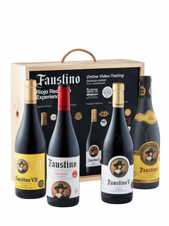 Faustino Rioja Red Wine Experience Gift Box