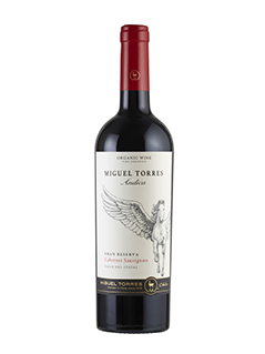 Andica Cabernet Sauvignon