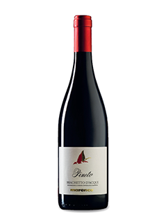Pineto Brachetto d'Acqui DOCG