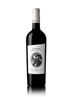 Camars Rosso Conero Doc