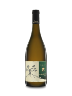 Etna Bianco Radici