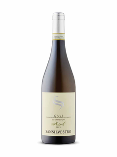 San Silvestro Fossili Gavi di Gavi