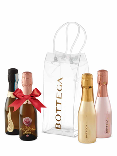 Bottega Mini Sparkling Icebag Set