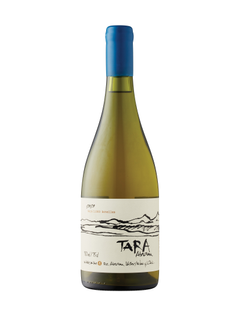 Tara Atacama White Wine 1