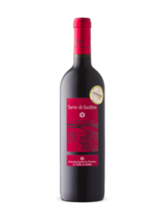 Terre di Giobbe Rosso Piceno Superiore DOCG