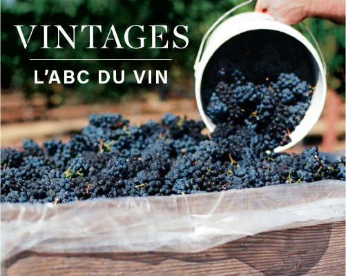 Apprendre avec Vintages : L’ABC du vin
